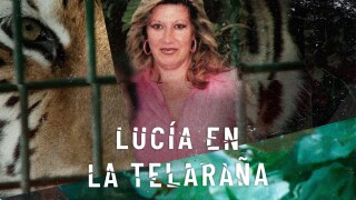 Lucía en la telaraña