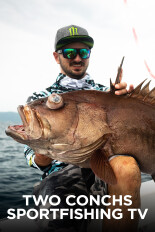 Two Conchs Sportfishing