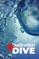 Destination Dive