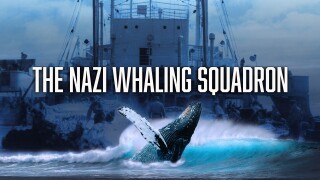 The Nazi Whaling Squadron