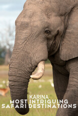 Karina: Most Intriguing Safari Destinations