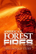 American Forest Fires: The Untold Story