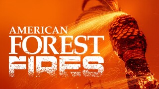 American Forest Fires: The Untold Story