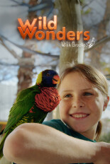 Wild Wonders With Brooke