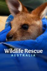 Wildlife Rescue Australia