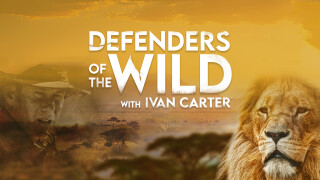 Defenders of the Wild