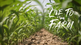 Live to Farm