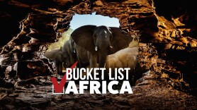 Bucket List Africa