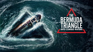 The Bermuda Triangle: Into Cursed Waters