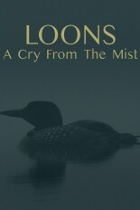 Loons: A Cry From the Mist