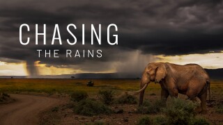 Chasing the Rains