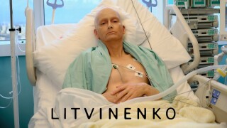 Litvinenko