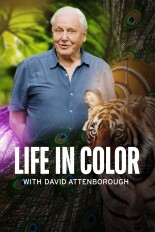 Life in Color With David Attenborough