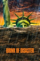 Brink of Disaster