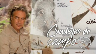 Cuaderno de campo