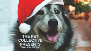 The Pet Collective Presents: Paw-liday Special