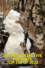 The Pet Collective Presents: Top 100 of 2022
