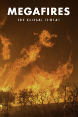 Megafires: The Global Threat