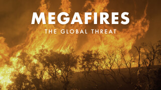 Megafires: The Global Threat