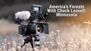 America's Forests With Chuck Leavell: Minnesota