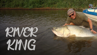 River King