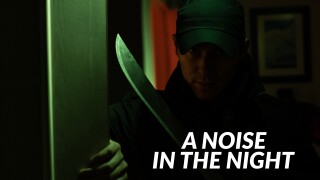 A Noise in the Night
