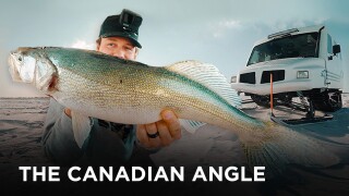 The Canadian Angle