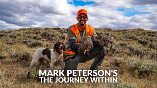 Mark Peterson's The Journey Within