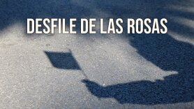 Desfile de Las Rosas