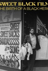 The Birth of a Black Movie Hero: Sweet Sweetback