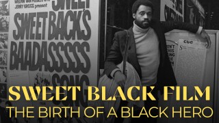 The Birth of a Black Movie Hero: Sweet Sweetback