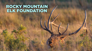 Rocky Mountain Elk Foundation