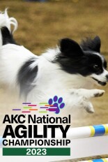 AKC National Agility Dog Championship