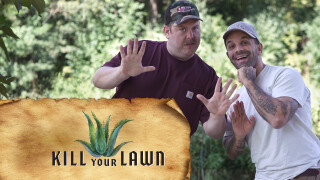 Kill Your Lawn