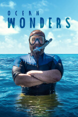 Ocean Wonders