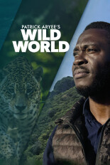 Patrick Aryee's Wild World