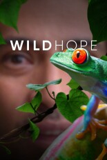 Wild Hope