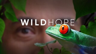 Wild Hope