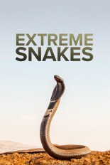 Extreme Snakes