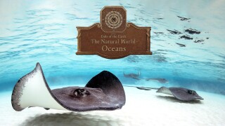 To the Ends of the Earth: The Natural World - Oceans