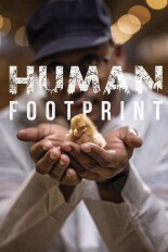 Human Footprint