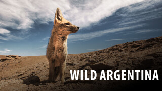 Wild Argentina