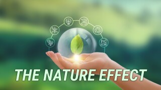 The Nature Effect