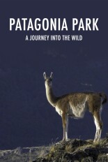 Patagonia Park: A Journey Into the Wild