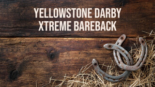 Yellowstone Darby Xtreme Bareback