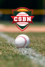 Collegiate Summer Baseball
