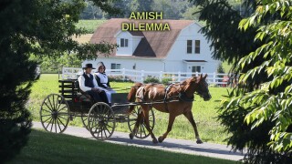 Amish Dilemma