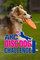 AKC Disc Dog Challenge 2023