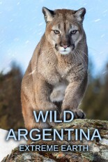 Wild Argentina: Extreme Earth