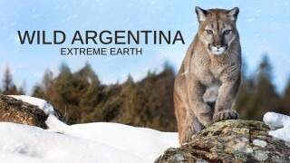 Wild Argentina: Extreme Earth